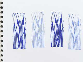 Cat-Tails