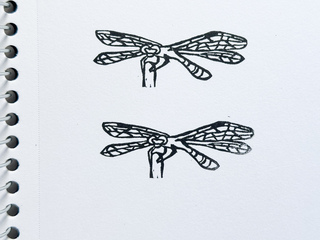Dragonfly