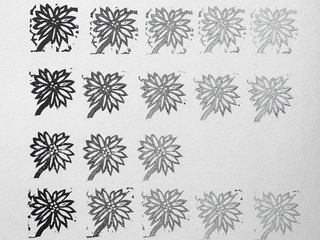Flower-V2