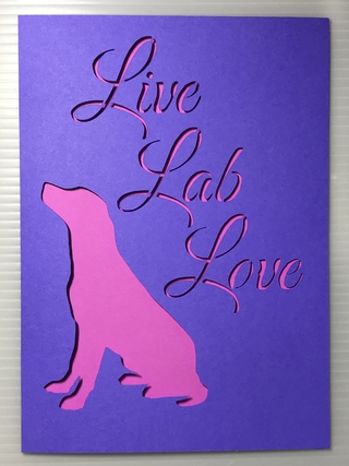 Live-Lab-Love