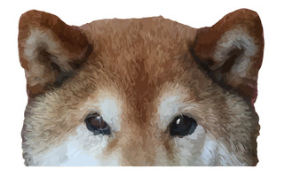 Peering-Doggo