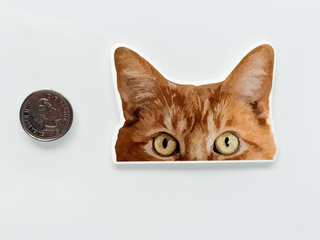 Peering-Kitteh-V3