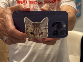 Peering-Kitteh