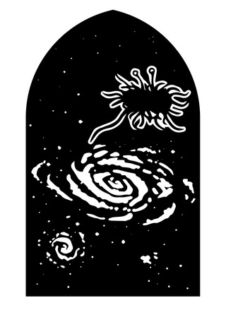 FSM-Galaxy