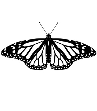 Monarch