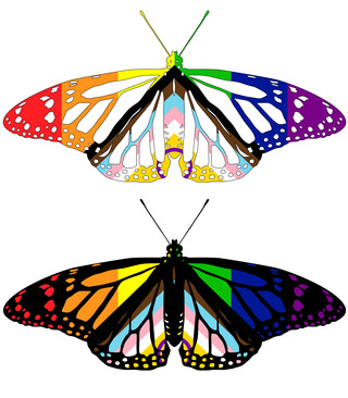 Proud-Monarch